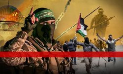 هل ينجح الصمود الغزاوي في إشعال ثورة العصر العالمية؟؟!!  